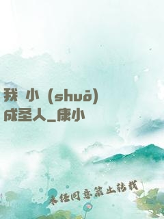 我寫小說(shuō)成圣人
