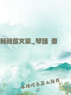 我就是文豪