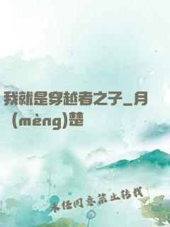 我就是穿越者之子