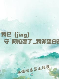 我已經(jīng)沒錢守護阿拉德了