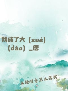 我成了大學(xué)輔導(dǎo)員