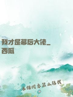 我才是幕后大佬