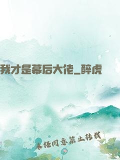 我才是幕后大佬