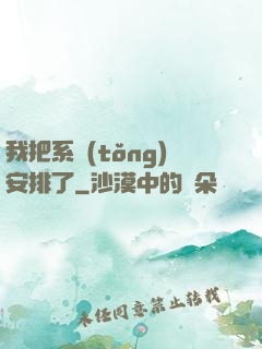 我把系統(tǒng)安排了