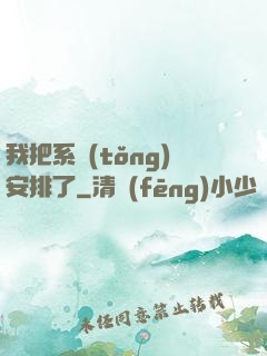 我把系統(tǒng)安排了