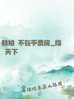 我拍戲不在乎票房