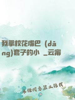 我拿?；ㄗ彀彤?dāng)套子的小說