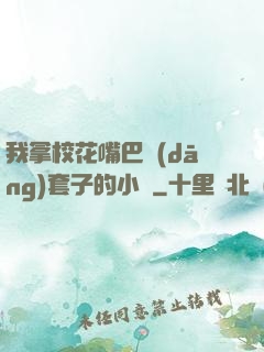 我拿?；ㄗ彀彤?dāng)套子的小說