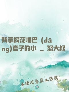 我拿?；ㄗ彀彤?dāng)套子的小說