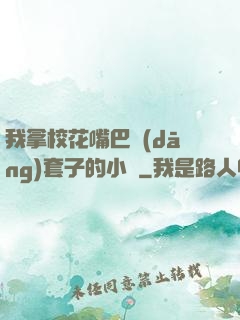 我拿?；ㄗ彀彤?dāng)套子的小說
