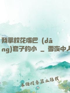 我拿?；ㄗ彀彤?dāng)套子的小說