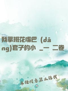 我拿班花嘴巴當(dāng)套子的小說