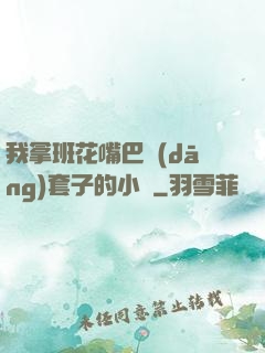 我拿班花嘴巴當(dāng)套子的小說