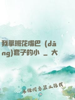 我拿班花嘴巴當(dāng)套子的小說