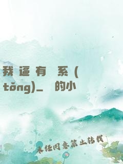 我掛逼擁有兩個系統(tǒng)