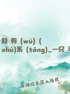 我擁有無(wú)數(shù)系統(tǒng)