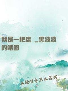 我是一把魔劍