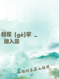 我是個(gè)掌門