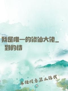 我是唯一的修仙大佬