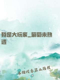 我是大玩家