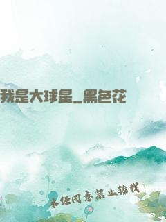 我是大球星