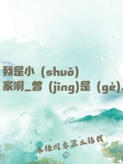 我是小說(shuō)家啊