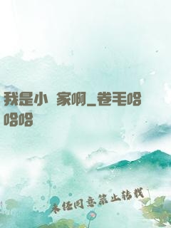 我是小說家啊
