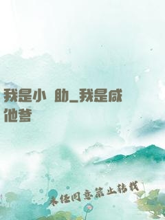 我是小輔助