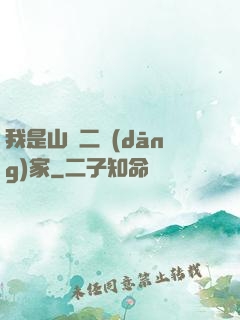 我是山賊二當(dāng)家