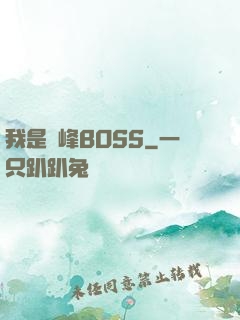 我是巔峰BOSS