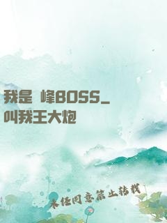 我是巔峰BOSS