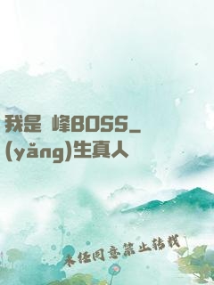 我是巔峰BOSS
