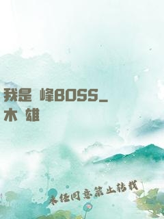 我是巔峰BOSS