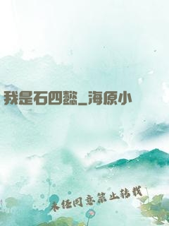 我是石四懿