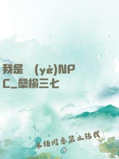 我是職業(yè)NPC