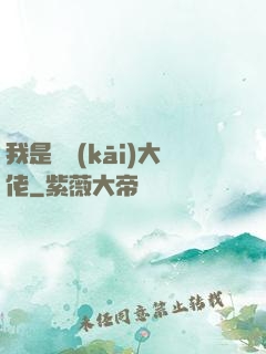 我是雙開(kāi)大佬