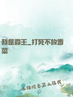 我是霸王