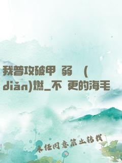 我普攻破甲虛弱帶點(diǎn)燃