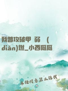 我普攻破甲虛弱帶點(diǎn)燃