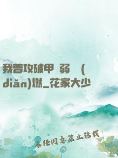 我普攻破甲虛弱帶點(diǎn)燃