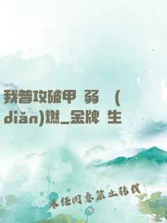 我普攻破甲虛弱帶點(diǎn)燃