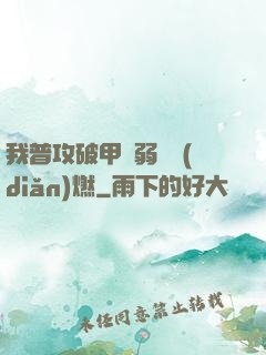 我普攻破甲虛弱帶點(diǎn)燃