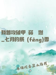 我普攻破甲虛弱帶點燃