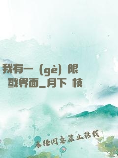 我有一個(gè)無限殺戮界面