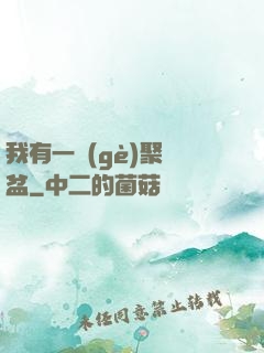 我有一個(gè)聚寶盆