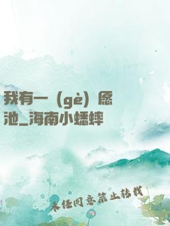 我有一個(gè)許愿池