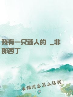 我有一只迷人的貓
