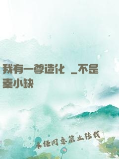 我有一尊造化爐