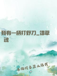 我有一柄打野刀