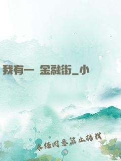 我有一條金融街